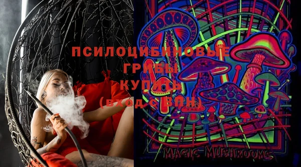 хмурый Алексеевка