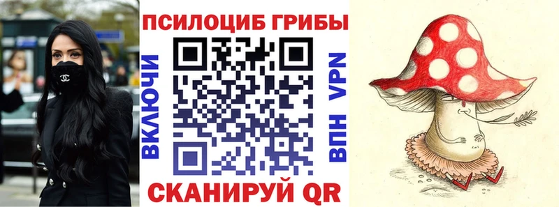 Галлюциногенные грибы GOLDEN TEACHER купить цена кракен зеркало Александровское